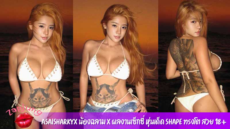 Asaisharkyx